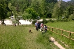WP_20190602_10_30_38_Pro