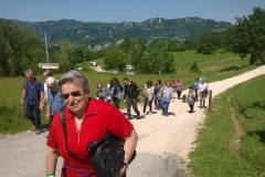 WP_20190602_10_43_07_Pro